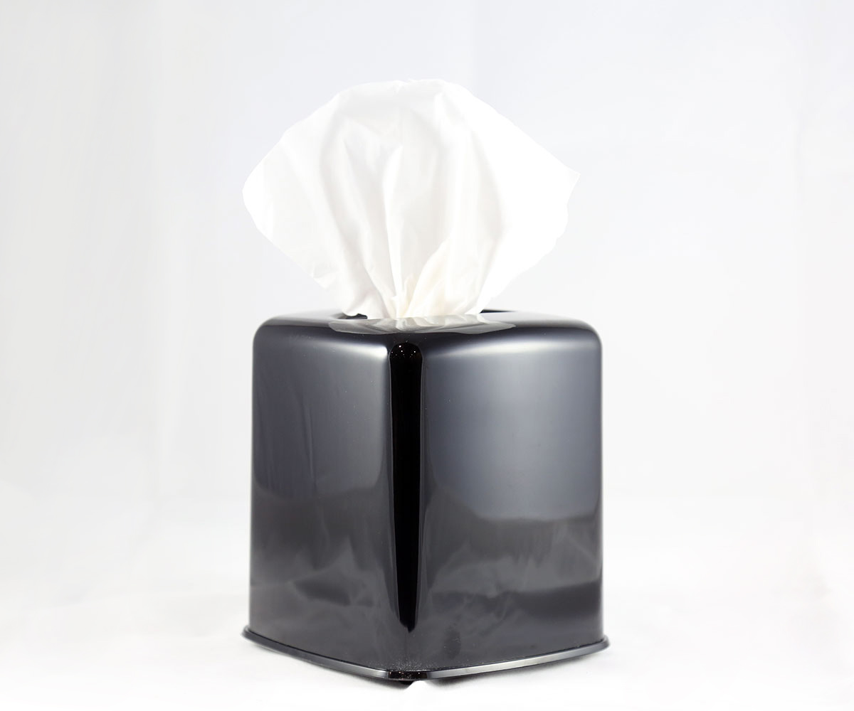 Whisper Facial Tissue Box - Facial Tissues - MBS Wholesale