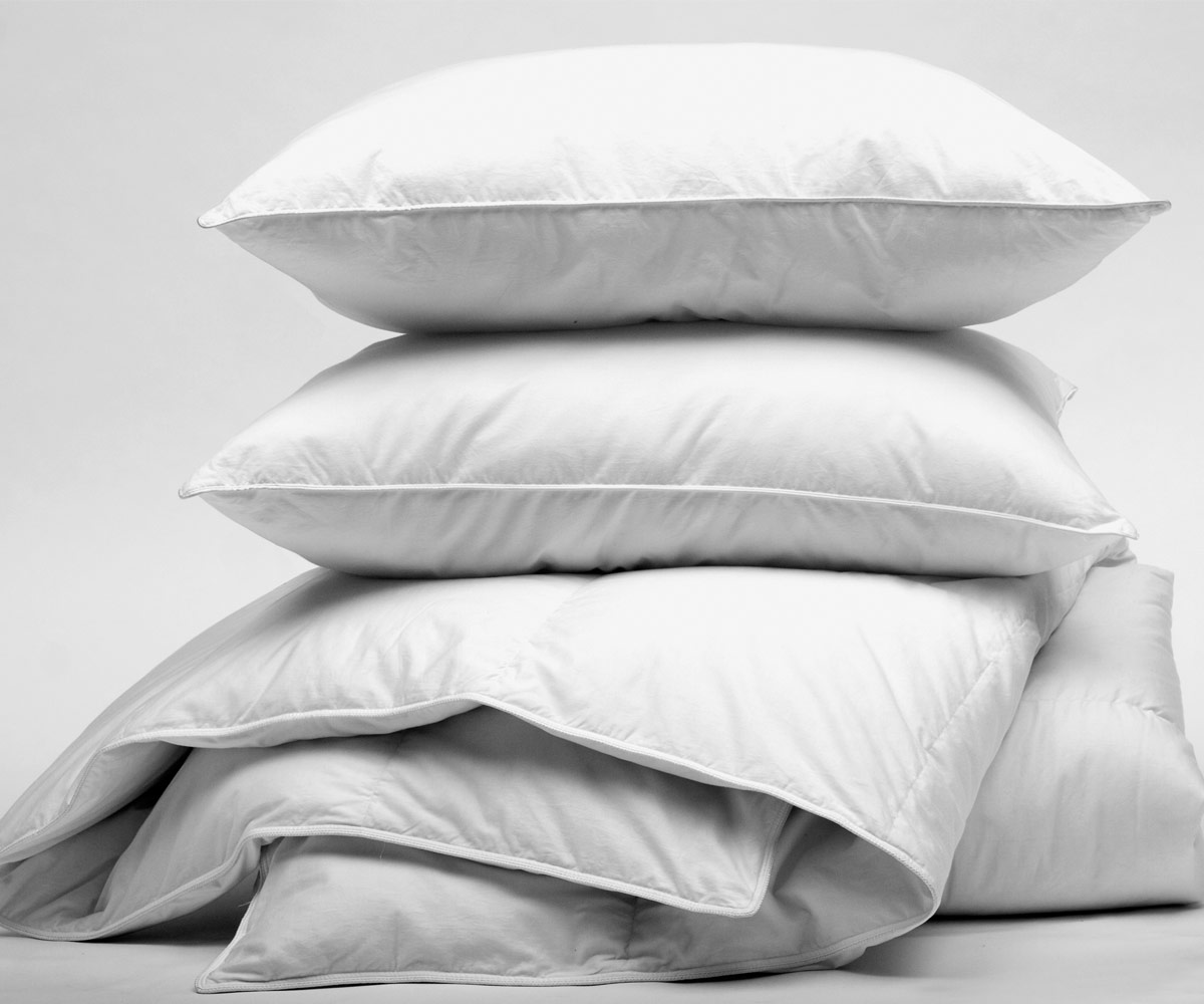 Bulk bed pillows for sale best sale