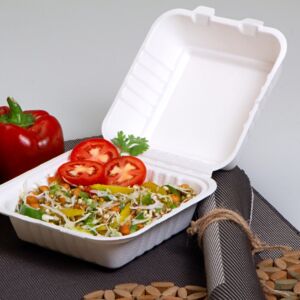 Bagasse Container